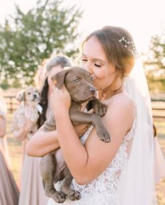 Houston area wedding venue puppy love